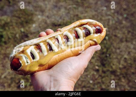 Mann Hand hält leckere lokale isländische Lebensmittel Hot Dog namens Pylsur im Freien in der Natur. Auch Pylsa oder PULSA genannt. Stockfoto