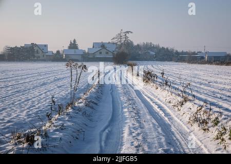 Ländliche Feldstraße im Dorf Rogow in der Woiwodschaft Lodzkie in Polen Stockfoto