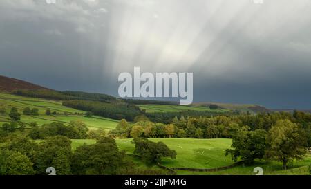 Landschaftlich reizvolles, ländliches Wharfedale (stimmungsvolle Beleuchtung, ätherische Sonnenstrahlen, Wolken nach Regen, sonnenbeschienenes Waldgebiet und Ackerland) - Yorkshire England Großbritannien. Stockfoto