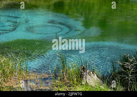 Geyser See mit türkisfarbenen Thermalquellen, Nahaufnahme. Märchenhafter Bergsee. Stockfoto