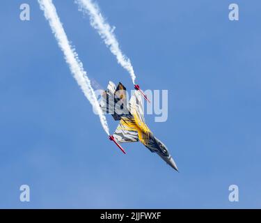 Belgische Luftwaffe 31 Tiger Squadron F-16 Stockfoto