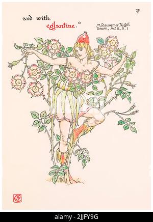 Eglantin (Süße Briarrose) aus dem Bildband "Blumen aus Shakespeares Garten", Illustration von Walter Crane, 1909 Stockfoto