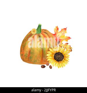 Ein Herbstgarten Komposition. Eine Reihe von Aquarell-Illustrationen zum Thema Herbsternte. Bunte Kürbis-, Sonnenblumen-, Eiche- und Ahornblätter Stockfoto