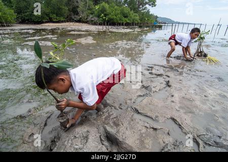 Donggala, Zentral-Sulawesi, Indonesien. 26.. Juli 2022. Kinder im Küstengebiet von Palu-Donggala begannen, die Bedeutung von Mangroven als Puffer für Meerwasserwellen nach dem Tsunami im Jahr 2018 zu verstehen. Sie haben diese Aktion durchgeführt, indem sie direkt zum Gedenken an den Internationalen Tag der Mangroven an der Pflanzung von bis zu 1000 Mangrovenbäumen teilnahmen. (Bild: © Adi Pranata/ZUMA Press Wire) Stockfoto