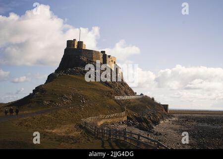 Ein Luftbild von Schloss Lindisfarne auf der Heiligen Insel, umgeben von grünen Feldern Stockfoto