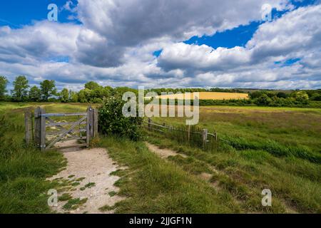 Der South Downs Way am Cuckmere River in Alfriston, East Sussex, England, Großbritannien Stockfoto