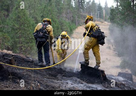 Mariposa, USA. 25.. Juli 2022. Feuerwehrleute arbeiten daran, das Waldfeuer im Mariposa County in Zentralkalifornien, USA, einzudämmen, 25. Juli 2022. Getrieben von heißem, trockenem Wetter und Trockenheit begann der Brand am Freitagnachmittag im Mariposa County in Zentralkalifornien. Es entwickelt sich in diesem Jahr schnell zu einem der größten Waldbrände im Bundesstaat. Quelle: Li Jianguo/Xinhua/Alamy Live News Stockfoto