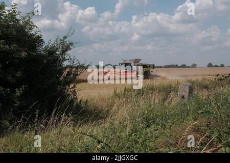 Ein Mähdrescher erntet die Ernte auf einem Weizenfeld in der Landschaft von East Yorkshire in der Nähe von Hull, Yorkshire, Großbritannien. Stockfoto