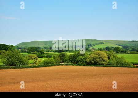 Hambledon Hill, in der Nähe von Blandford, Dorset, ist eine prähistorische Hügelfestung im Blackmore Valle. Es ist jetzt im Besitz des National Trust. Stockfoto