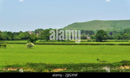 Hambledon Hill, in der Nähe von Blandford, Dorset, ist eine prähistorische Hügelfestung im Blackmore Valle. Es ist jetzt im Besitz des National Trust. Stockfoto