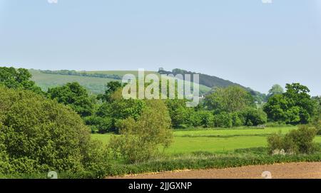 Hambledon Hill, in der Nähe von Blandford, Dorset, ist eine prähistorische Hügelfestung im Blackmore Valle. Es ist jetzt im Besitz des National Trust. Stockfoto