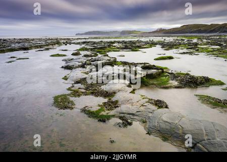 East Quantoxhead Beach am Rande der Quantock Hills entlang des Bristol Channel, Somerset, England. Stockfoto