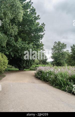 Staffordshire Lakeside Pathway sonnige Tageslandschaft, Stoke-on-Trent, Großbritannien Stockfoto