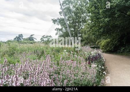 Staffordshire Lakeside Pathway sonnige Tageslandschaft, Stoke-on-Trent, Großbritannien Stockfoto