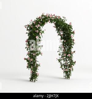 3D Illustration von Bogenblumen isoliert auf weißem Hintergrund Stockfoto
