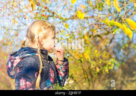 Niedliche blonde kaukasische Mädchen Kommissionierung reifen gesunden roten Briar Beerenfrüchte Stockfoto