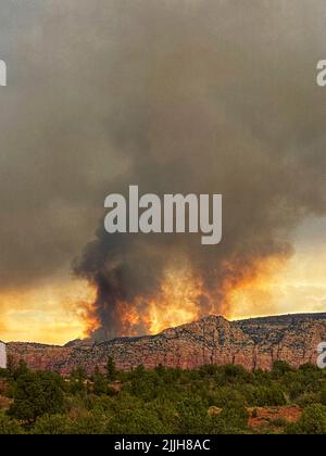 Sedona, Usa. 17. Juli 2022. Rauch steigt aus dem Komitee Feuer brennt auf der Rückseite des Munds Mountain im Coconino National Forest, 17. Juli 2022 in der Nähe von Sedona, Arizona. Quelle: Grant Cloud/USFS/Alamy Live News Stockfoto
