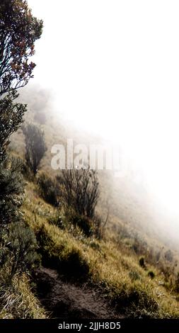 Schöne Aussicht auf den Mount Merbabu Stockfoto