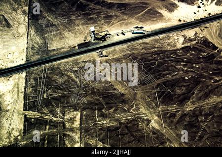 Nazca-Linien in Peru: Der Baum, die Hände, die Eidechse, hoher Kontrast. Stockfoto