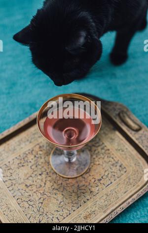 Schwarze Katze und ein Glas Rosenwein Stockfoto