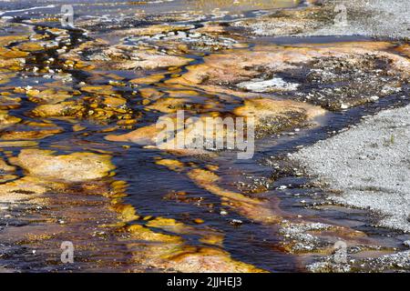 Geyser Hill Yellowstone National Park. Stockfoto