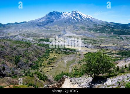 Ein Panoramablick auf Mount St. Helens vom Johnson Ridge Observatory Stockfoto