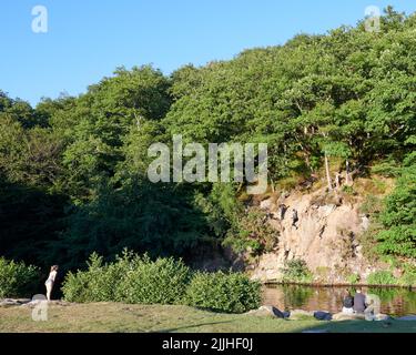 Dartmoor National Park, Großbritannien, 26 Jul, 2022, Klarer Himmel und warm am frühen Abend in Spitchwick. Kredit: Will Tudor/Alamy Live Nachrichten Stockfoto