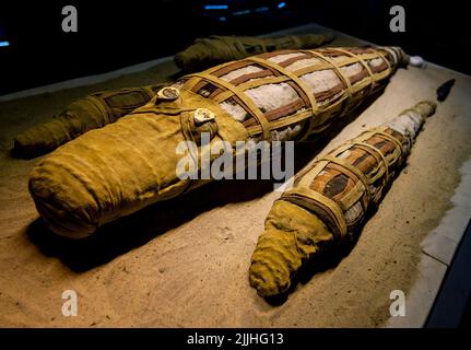 Alte mumifizierte Krokodile in Tuch gehüllt im Krokodilmuseum an der antiken Stätte von Kom Ombo in Zentralägypten. Stockfoto