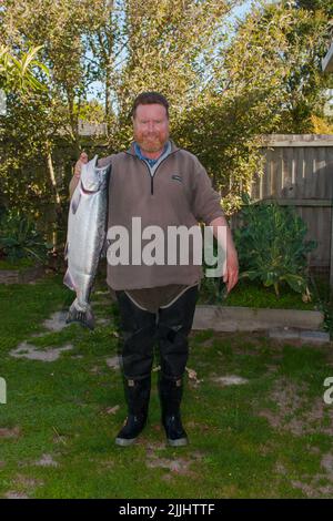 Ein Blick auf das Leben in Neuseeland. Frisch gefangener Wildlachs (Oncorhynchus tshawytscha): Chinook: Königslachs. Gefangen auf einem Spinner, Freizeitfischen. Stockfoto