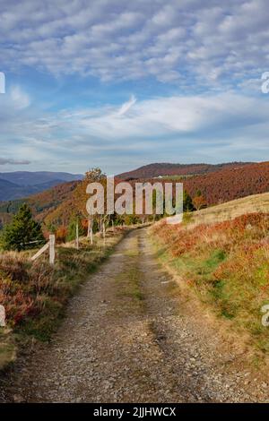 Herbstlandschaft mit Blick auf die herbstbunten Bäume in den Vogesen, Stockfoto