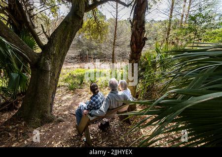 Familie im Cypress-Sumpf auf Dewees Island, S.C. Stockfoto