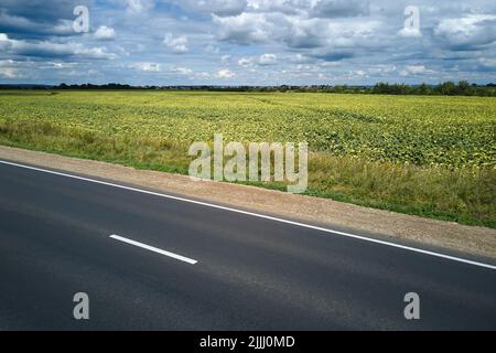 Luftaufnahme einer leeren Intercity-Straße zwischen grünen landwirtschaftlichen Feldern. Draufsicht von der Drohne der Autobahn Stockfoto