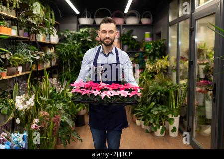 Spezialist für die Dekoration von Büros mit natürlichen Blumen unter Topfpflanzen Stockfoto