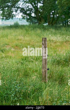 Holzpfosten und elektrischer Zaun als Grenze verwendet, um die Farm Ebenen in der Landschaft zu sichern und zu schützen. Landschaft von hell grünen Wiese mit üppigen Stockfoto