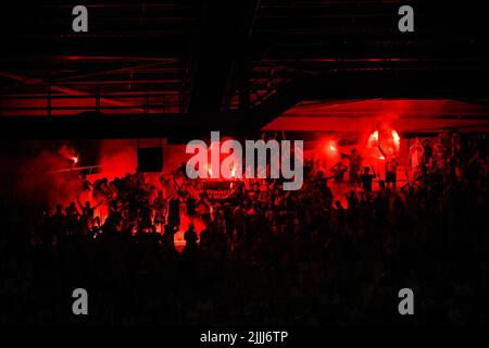 Lissabon, Portugal. 26.. Juli 2022. Benfica Fans gesehen während des Eusebio Cup Fußballspiels zwischen Benfica und Newcastle im Estadio da Luz. Endergebnis: Benfica 3:2 Newcastle. Kredit: SOPA Images Limited/Alamy Live Nachrichten Stockfoto