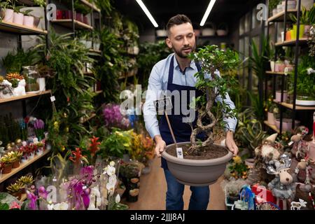 Der Blumenboutique-Manager trägt einen Banzai in einem Topf Stockfoto