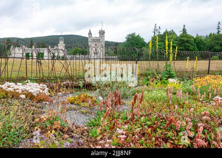Balmoral Castle, private Residenz der königlichen Familie in Aberdeenshire, von den Gärten des Anwesens mit blühenden Blumen aus gesehen, Sommertag, Schottland, Großbritannien Stockfoto