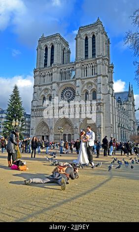 Kameramann in der Nähe der Kathedrale Notre-Dame (auch bekannt als Kathedrale Notre Dame de Paris) mit geschmückten Kiefern in Paris, Frankreich. Stockfoto