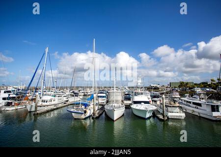 Die Great Sandy Straits Marina liegt am Hafen von Urangan in Hervey Bay, Queensland, Australien Stockfoto