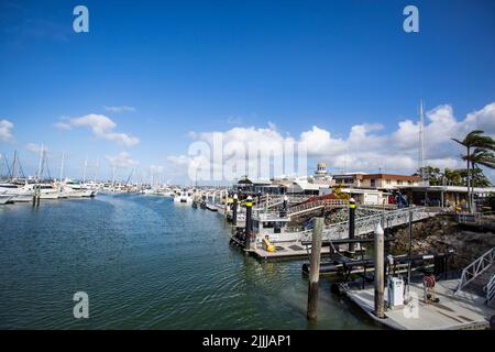 Die Great Sandy Straits Marina liegt am Hafen von Urangan in Hervey Bay, Queensland, Australien Stockfoto