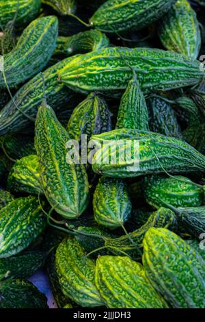 Frische Bio Bitter Guard vom Bauernhof aus der Nähe aus verschiedenen Blickwinkeln Stockfoto