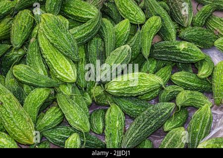 Frische Bio Bitter Guard vom Bauernhof aus der Nähe aus verschiedenen Blickwinkeln Stockfoto