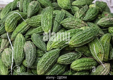 Frische Bio Bitter Guard vom Bauernhof aus der Nähe aus verschiedenen Blickwinkeln Stockfoto