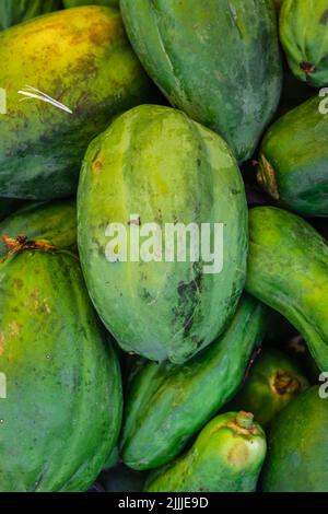 Frische Bio-unreife Papaya für Gemüse aus der Nähe der Farm Schuss Stockfoto