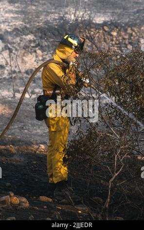 Der Feuerwehrmann dämpt heiße Stellen am hinteren Ende eines Bürstenfeuers auf Stockfoto