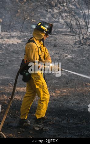 Der Feuerwehrmann dämpt heiße Stellen am hinteren Ende eines Bürstenfeuers auf Stockfoto