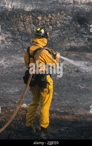 Der Feuerwehrmann dämpt heiße Stellen am hinteren Ende eines Bürstenfeuers auf Stockfoto