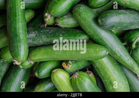 Frische grüne Gurke viele aus der Nähe von oben Winkel Stockfoto