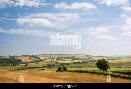 Auf dem 1066 Country Walk von Icklesham über den hohen weald und das Brede Valley East Sussex Südostengland Stockfoto