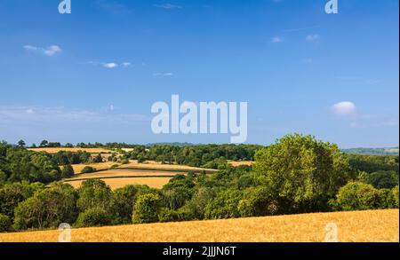 Auf dem 1066 Country Walk von Icklesham über den hohen weald und das Brede Valley East Sussex Südostengland Stockfoto